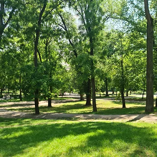 Middle Village